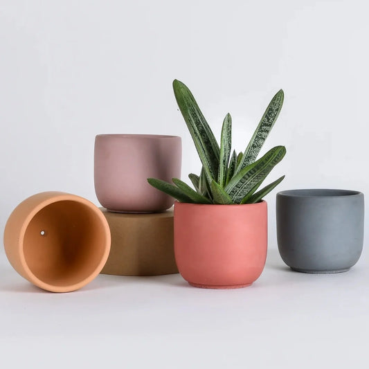 Planting Trends: Elevate Your Greenery with Stylish Concrete Plant Pots