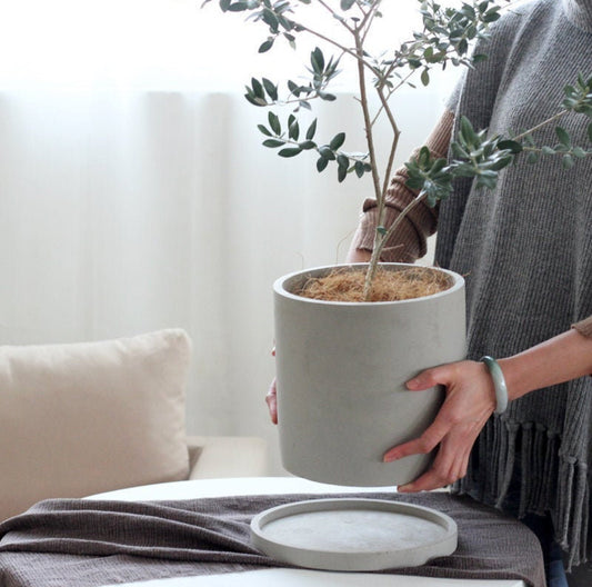 10” Mane Planter